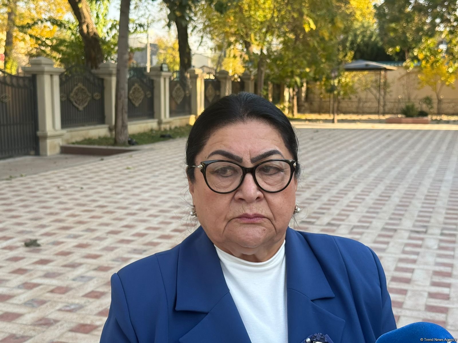 Azərbaycan və Özbəkistan Prezidentlərinin əməkdaşlıq strategiyası bütün dünya üçün nümunə ola bilər - Daşkənddən rəy