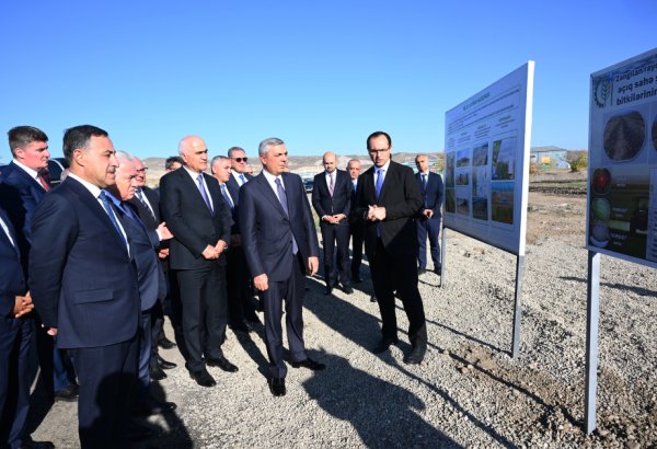 Əlaqələndirmə Qərargahının üzvləri Ağalıda kənd təsərrüfatı təyinatlı torpaq sahələrinə baxış keçiriblər (FOTO)