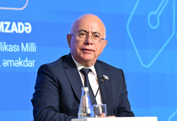 Müəllimlərin kəndlərə getməsi üçün diqqəti cəlb edən güzəştlərə ehtiyac var – Komitə sədri