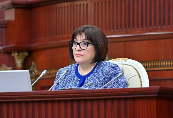 Prezident İlham Əliyevin rəhbərliyi ilə həyata keçirilən inkişaf strategiyası makroiqtisadi sabitliyi qorumağa imkan verib – Sahibə Qafarova