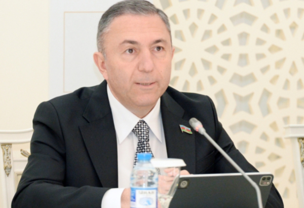 Deputat ƏDV və mənfəət vergisində güzəştlərlə bağlı təkliflər irəli sürüb