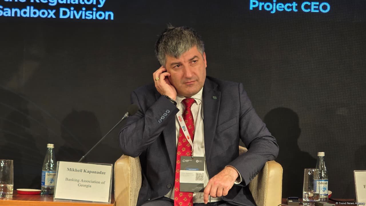 Gürcüstanda ödəniş və hesab xidmətlərinin inkişafı ilə bağlı yeniliklər açıqlanıb