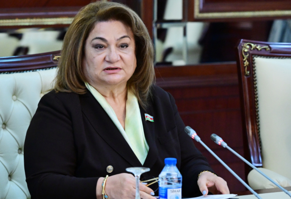 Gender bərabərliyinin təmin edilməsinə nəzarət mexanizmi yoxdur – Millət vəkili