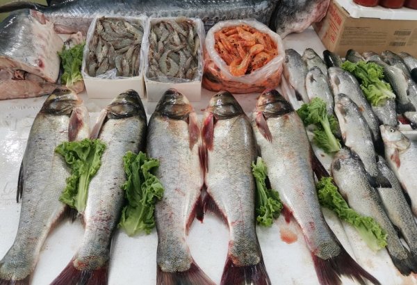 Azərbaycanın balıq bazarında qiymətlər necədir? - AÇIQLAMA