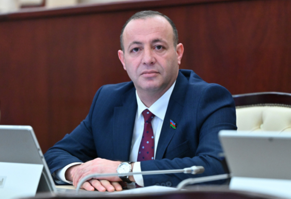 Tədqiqatçı elmi dərəcə və adları alıb bitirəndə artıq təqaüd yaşına çatır – Deputat