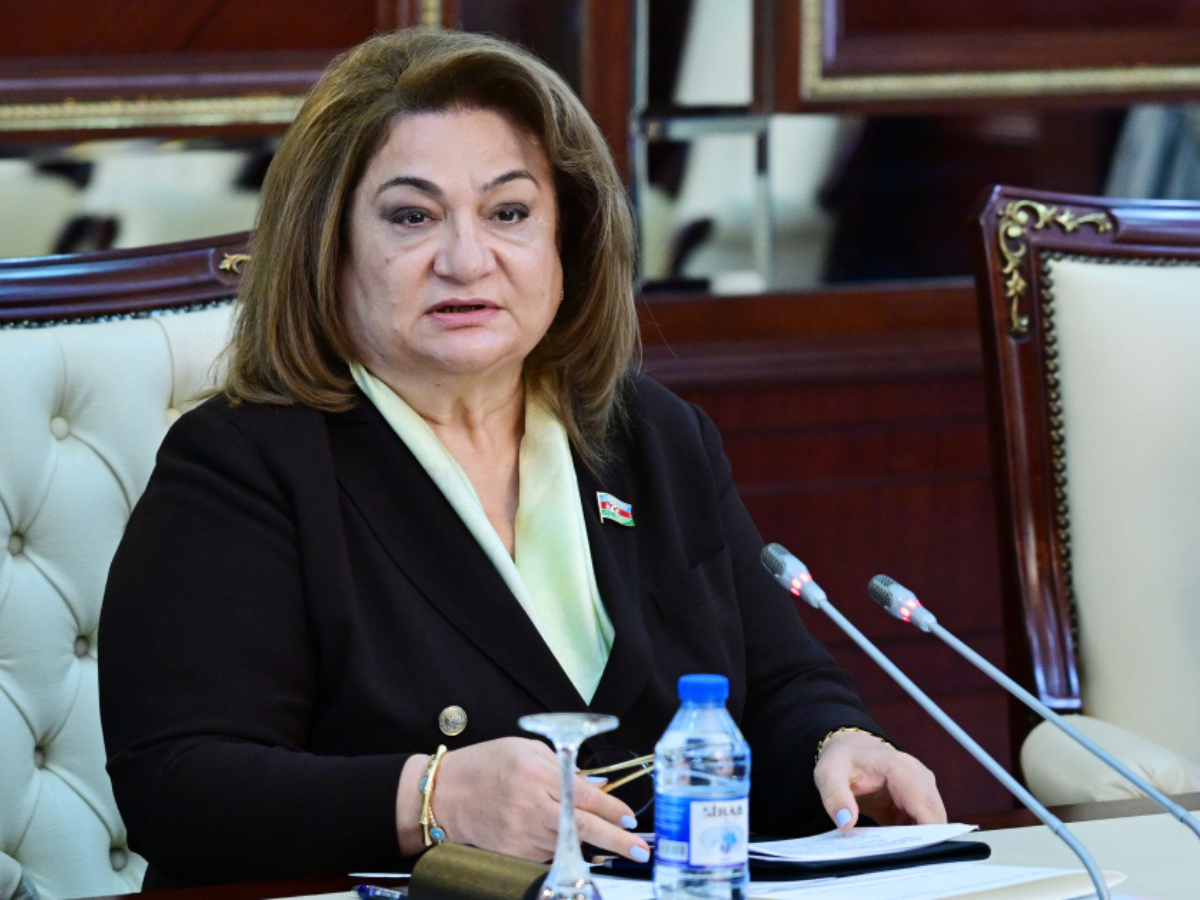 Üç və daha çox uşaqlı ailələrə sosial dəstək proqramlarının həyata keçirilməsinə ehtiyac var – Komitə sədri