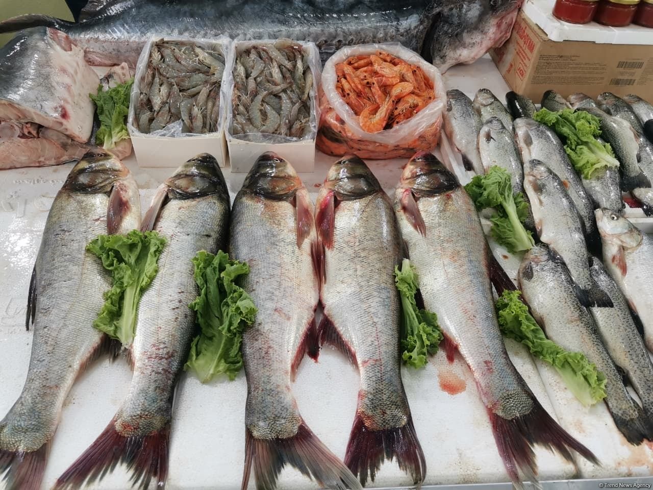 Azərbaycanın balıq bazarında qiymətlər necədir? - AÇIQLAMA