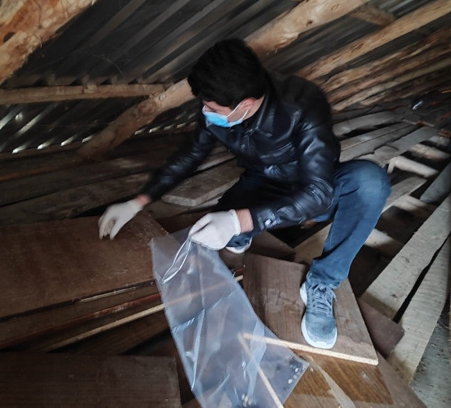 Bu iki rayonda 1000-dən çox tikili qəhvəyi mərmər bağacığından təmizlənib (FOTO)