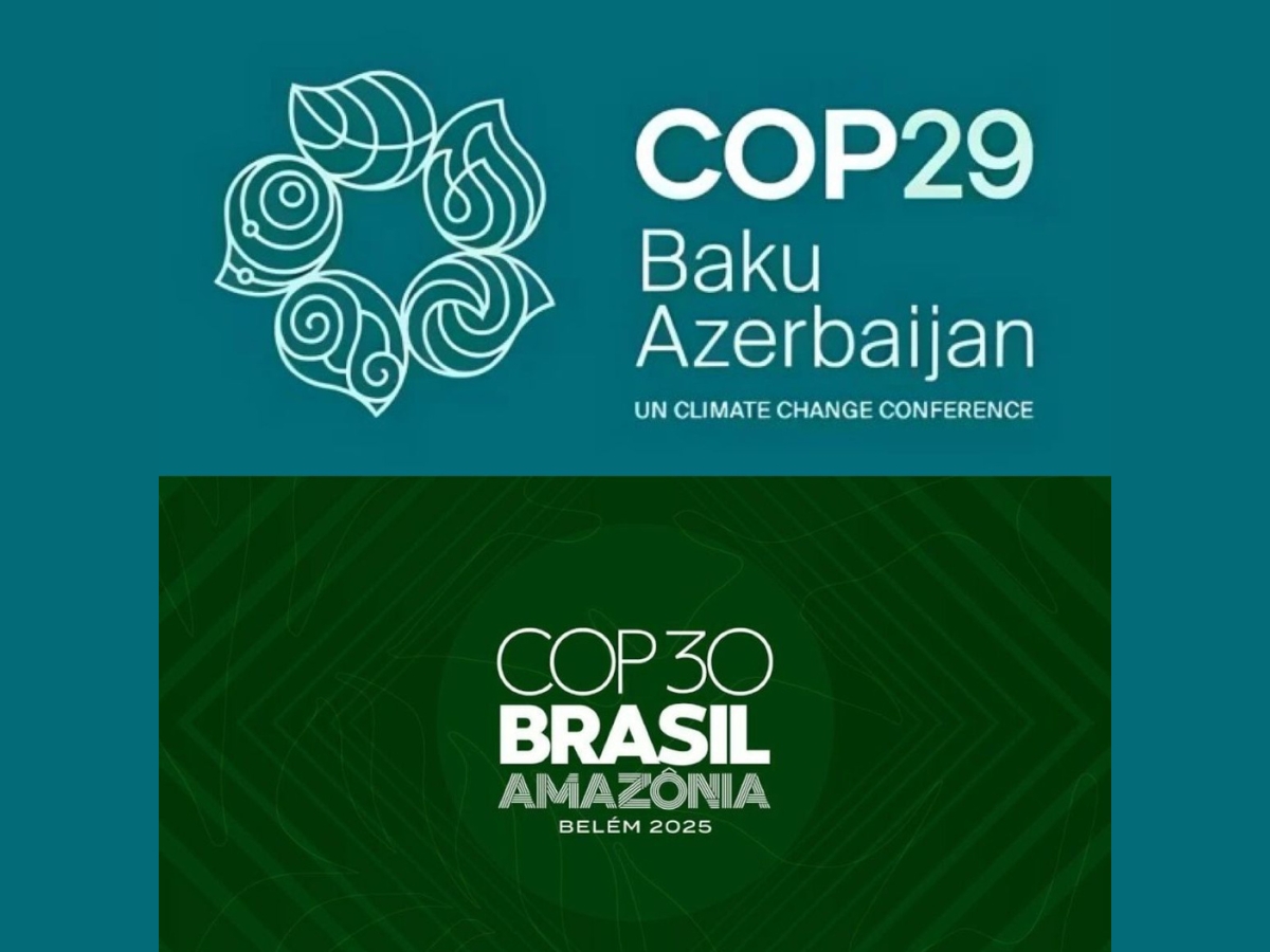 Uğur simvolu olan COP29-a qarşı problem yüklü COP30 - RƏY