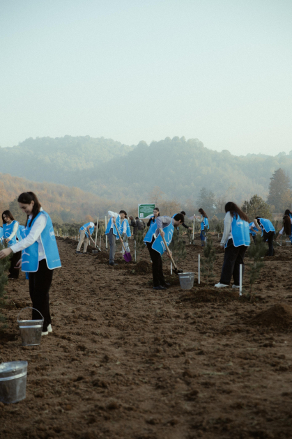 Leyla Əliyeva, Arzu Əliyeva və Alena Əliyeva Lənkəranda ekoloji aksiyalarda iştirak ediblər (FOTO)