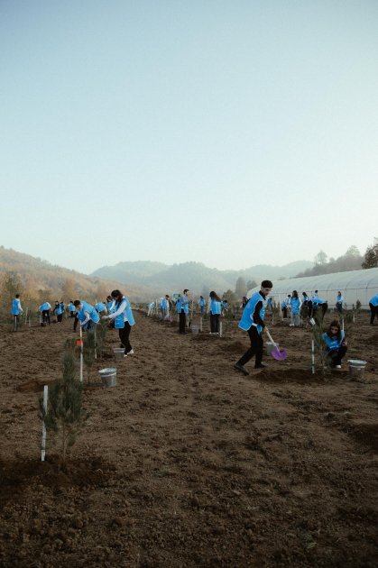 Leyla Əliyeva, Arzu Əliyeva və Alena Əliyeva Lənkəranda ekoloji aksiyalarda iştirak ediblər (FOTO)