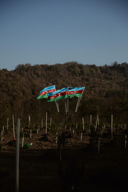 Leyla Əliyeva, Arzu Əliyeva və Alena Əliyeva Lənkəranda ekoloji aksiyalarda iştirak ediblər (FOTO)