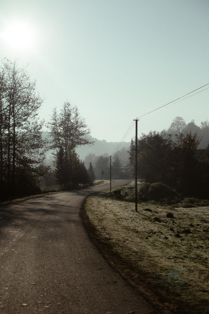 Leyla Əliyeva, Arzu Əliyeva və Alena Əliyeva Lənkəranda ekoloji aksiyalarda iştirak ediblər (FOTO)