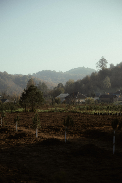 Leyla Əliyeva, Arzu Əliyeva və Alena Əliyeva Lənkəranda ekoloji aksiyalarda iştirak ediblər (FOTO)