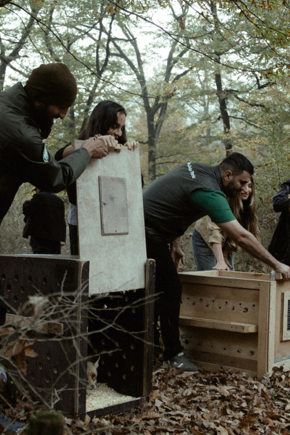 Leyla Əliyeva, Arzu Əliyeva və Alena Əliyeva Lənkəranda ekoloji aksiyalarda iştirak ediblər (FOTO)