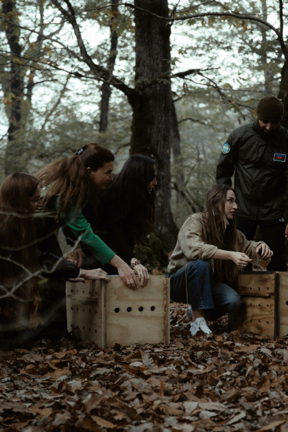 Leyla Əliyeva, Arzu Əliyeva və Alena Əliyeva Lənkəranda ekoloji aksiyalarda iştirak ediblər (FOTO)