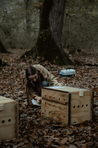 Leyla Əliyeva, Arzu Əliyeva və Alena Əliyeva Lənkəranda ekoloji aksiyalarda iştirak ediblər (FOTO)