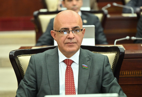 Azərbaycan dilinin sosial şəbəkə platformalarına inteqrasiya edilməsi istiqamətində addımlar atılmalıdır – Elçin Mirzəbəyli