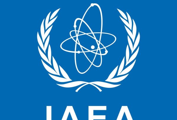 BAEA Buşehr AES yaxınlığındakı insidentdən sonra radiasiya riski barədə açıqlama verib