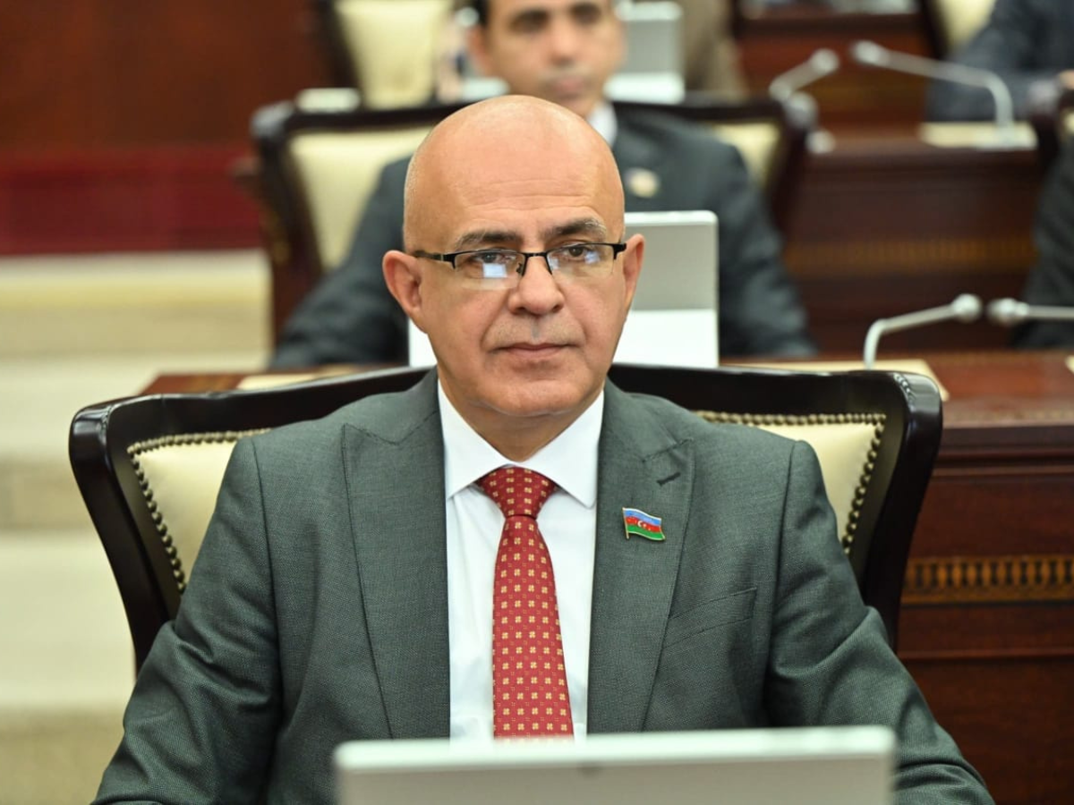 Azərbaycan dilinin sosial şəbəkə platformalarına inteqrasiya edilməsi istiqamətində addımlar atılmalıdır – Elçin Mirzəbəyli