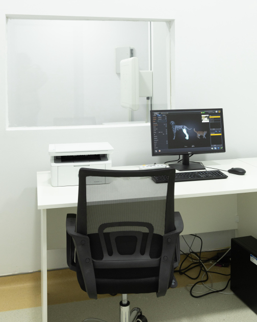 Leyla Əliyeva və Alena Əliyeva Lənkəran Dövlət Universitetinin nəzdində yaradılmış Baytarlıq Klinikası ilə tanış olublar (FOTO)