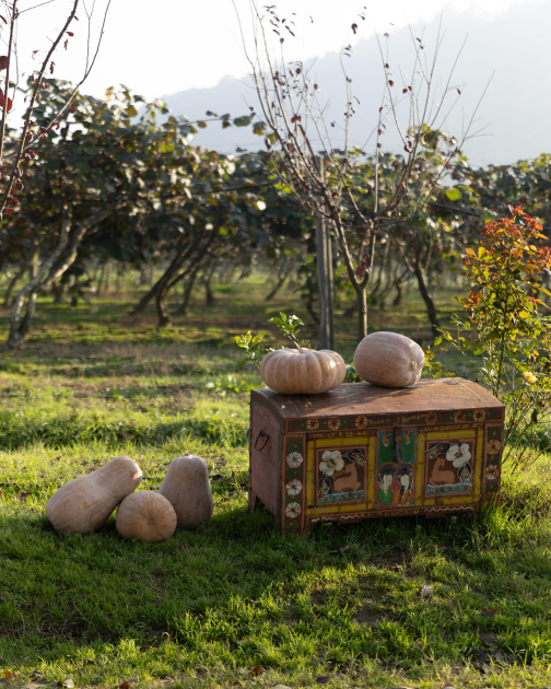 Leyla Əliyeva, Arzu Əliyeva və Alena Əliyeva Lənkəranda fermer təsərrüfatı ilə tanış olublar (FOTO)