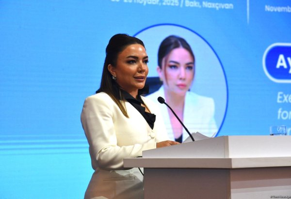Azərbaycan və Özbəkistan QHT-lər üçün birgə qrant müsabiqəsi elan edəcək - Aygün Əliyeva