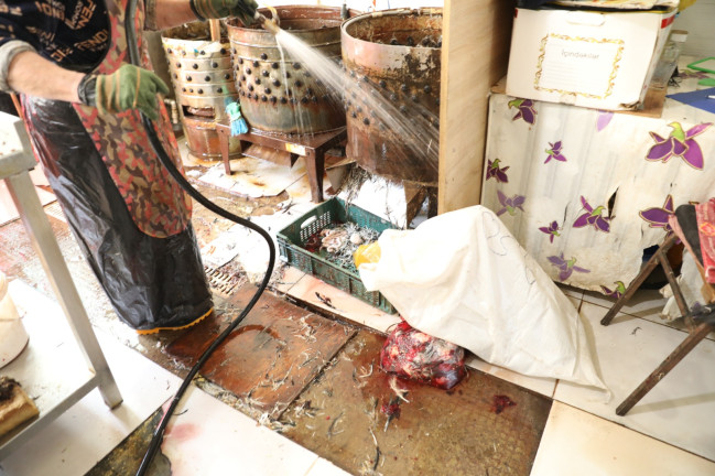 “8-ci km” bazarında qanunsuz quş kəsimi və sanitariya qaydalarının pozulması aşkarlanıb (FOTO)