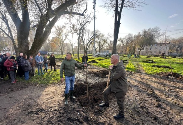 Soydaşlarımız Odessada ağacəkmə aksiyası keçirib (FOTO)