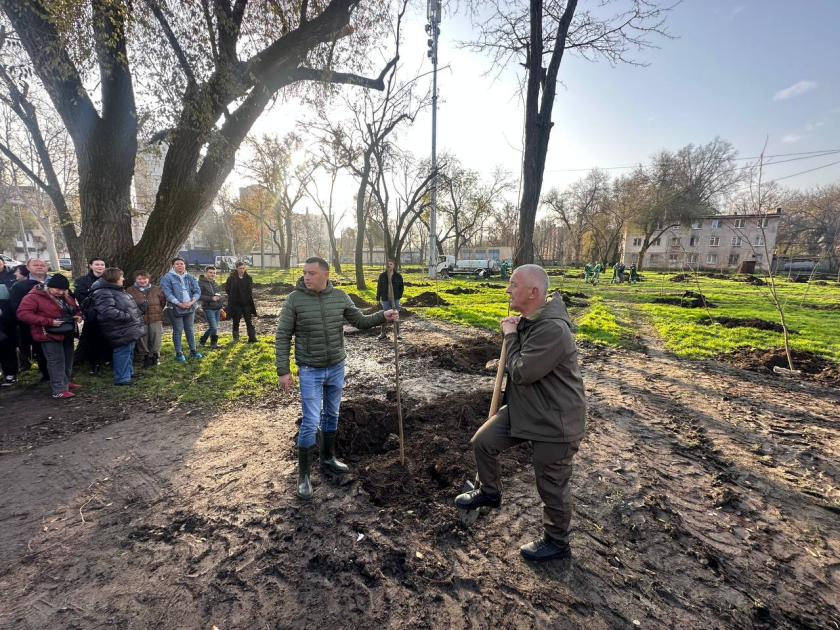 Soydaşlarımız Odessada ağacəkmə aksiyası keçirib (FOTO)