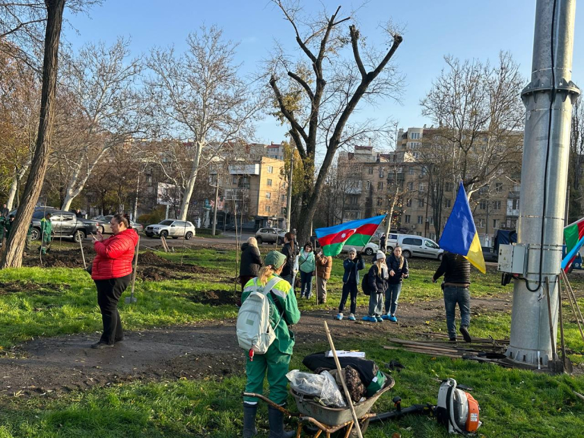 Soydaşlarımız Odessada ağacəkmə aksiyası keçirib (FOTO)