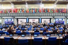 Azərbaycan beynəlxalq qida təhlükəsizliyi proseslərində aktiv mövqe sərgiləyir (FOTO)