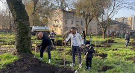 Soydaşlarımız Odessada ağacəkmə aksiyası keçirib (FOTO)