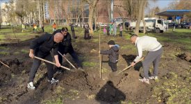 Soydaşlarımız Odessada ağacəkmə aksiyası keçirib (FOTO)