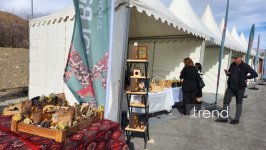 Kəlbəcərdə şəhər günü çərçivəsində fotosərgi təşkil edilib (FOTO)