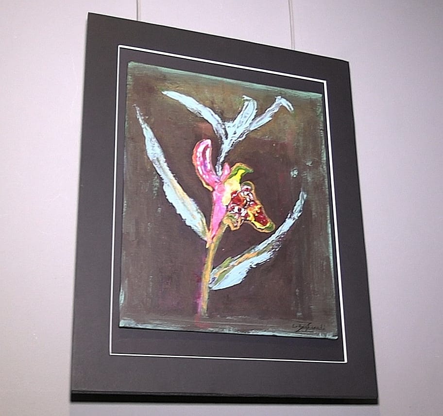 ABŞ-də yaşayan soydaşımızın İçərişəhərdə rəsm sərgisi keçirilib (FOTO)