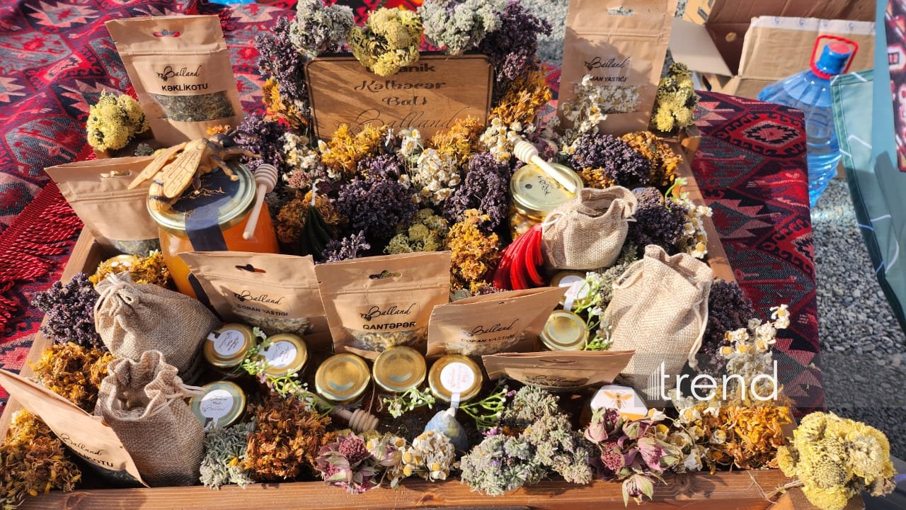 Kəlbəcərdə şəhər günü çərçivəsində fotosərgi təşkil edilib (FOTO)