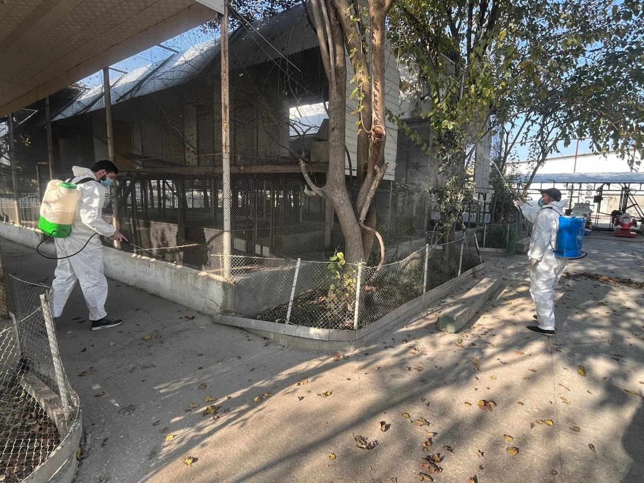 Hacıqabulda restoranda biotəhlükəsizlik tədbirləri görülüb (FOTO)