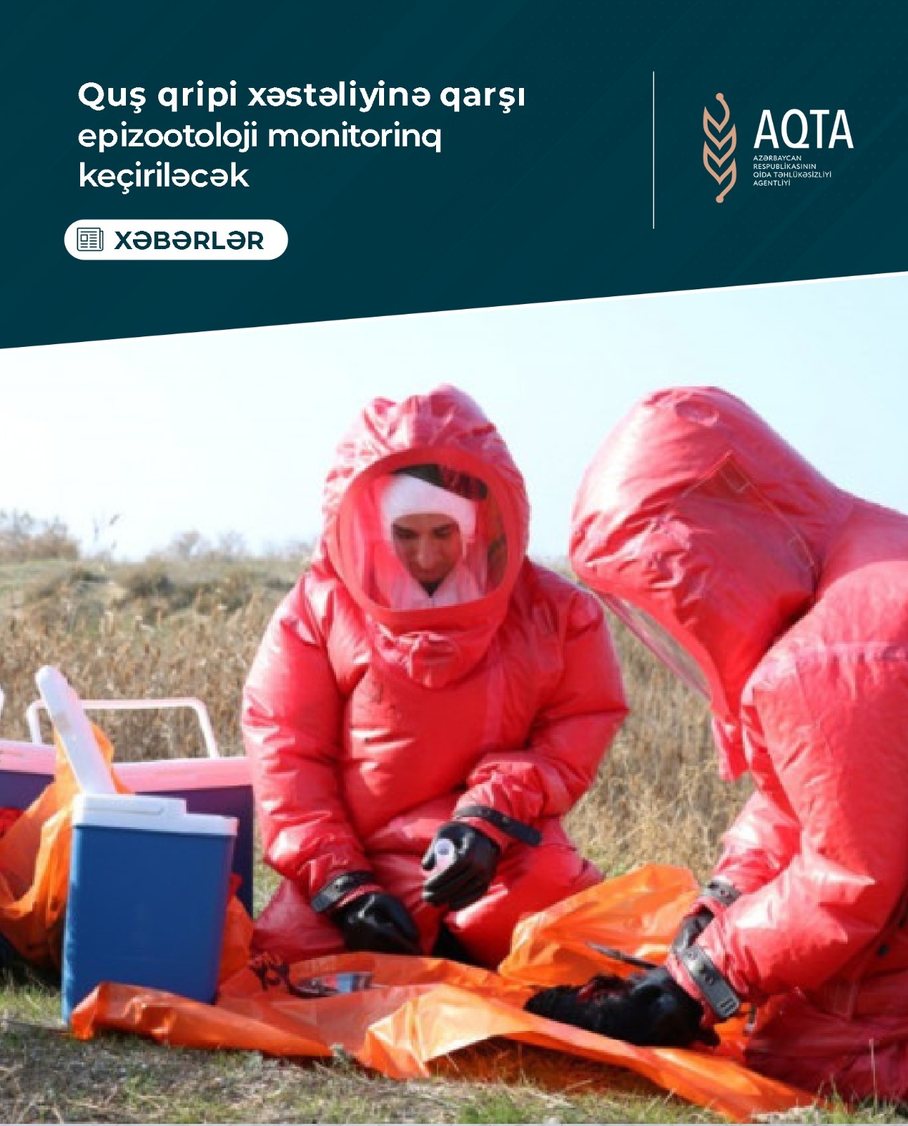 Quş qripi xəstəliyinə qarşı epizootoloji monitorinq keçiriləcək