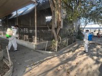 Hacıqabulda restoranda biotəhlükəsizlik tədbirləri görülüb (FOTO)