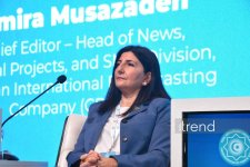 TDT-nin Media Forumu çərçivəsində üzv dövlətlərin qarşılıqlı əməkdaşlıq imkanlarına həsr olunan panel sessiya keçirilib (FOTO) (YENİLƏNİB)