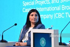 TDT-nin Media Forumu çərçivəsində üzv dövlətlərin qarşılıqlı əməkdaşlıq imkanlarına həsr olunan panel sessiya keçirilib (FOTO) (YENİLƏNİB)