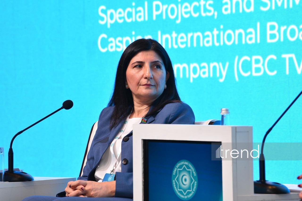 TDT-nin Media Forumu çərçivəsində üzv dövlətlərin qarşılıqlı əməkdaşlıq imkanlarına həsr olunan panel sessiya keçirilib (FOTO) (YENİLƏNİB)