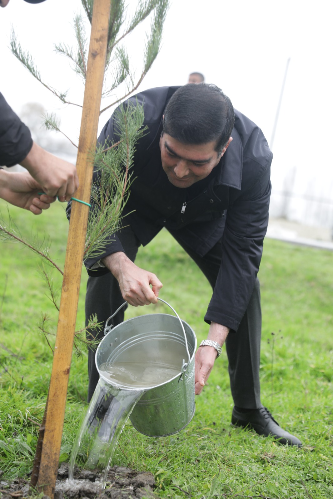 Xaçmaz rayonunda növbəti ağacəkmə aksiyası keçirilib (FOTO)