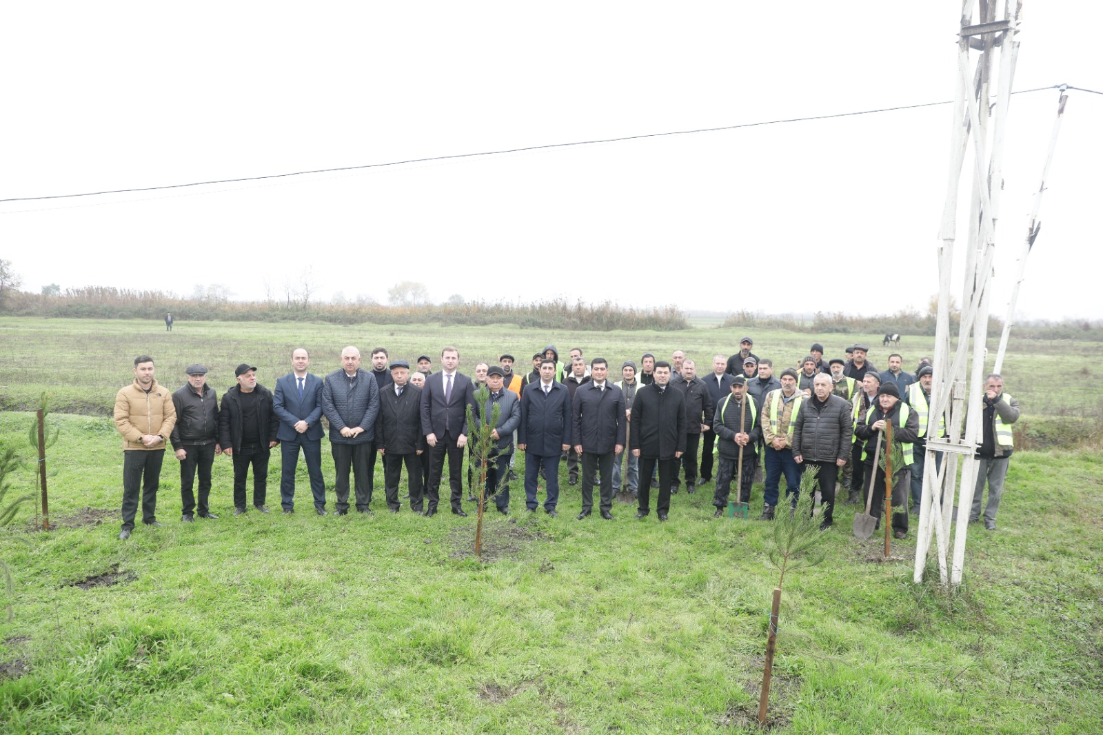 Xaçmaz rayonunda növbəti ağacəkmə aksiyası keçirilib (FOTO)