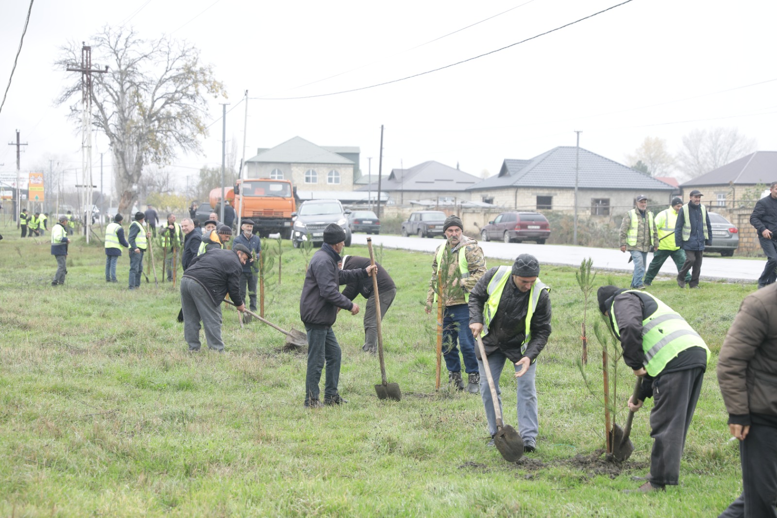 Xaçmaz rayonunda növbəti ağacəkmə aksiyası keçirilib (FOTO)