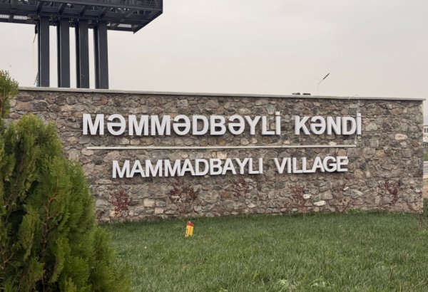Zəngilanın Məmmədbəyli kəndində daha 20 ailəyə evlərinin açarları təqdim edildi (YENİLƏNİB)