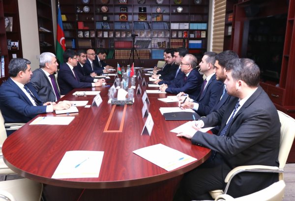 İki qardaş ölkənin diaspor qurumları müzakirələr aparıb (FOTO)