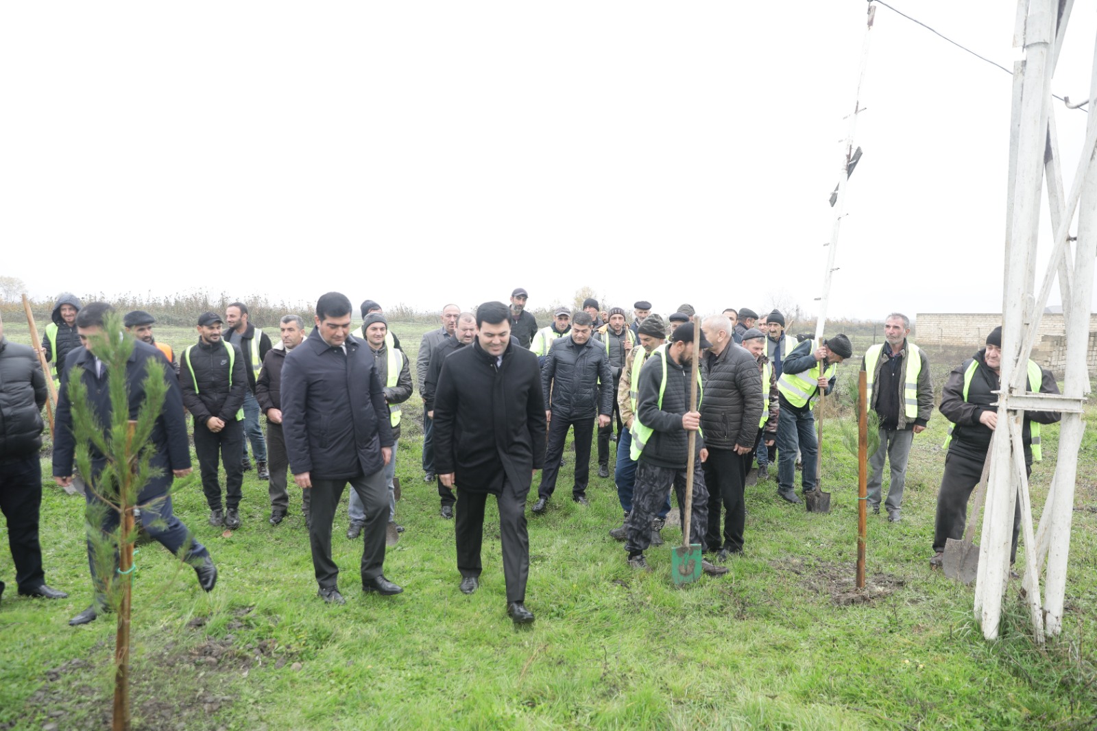 Xaçmaz rayonunda növbəti ağacəkmə aksiyası keçirilib (FOTO)