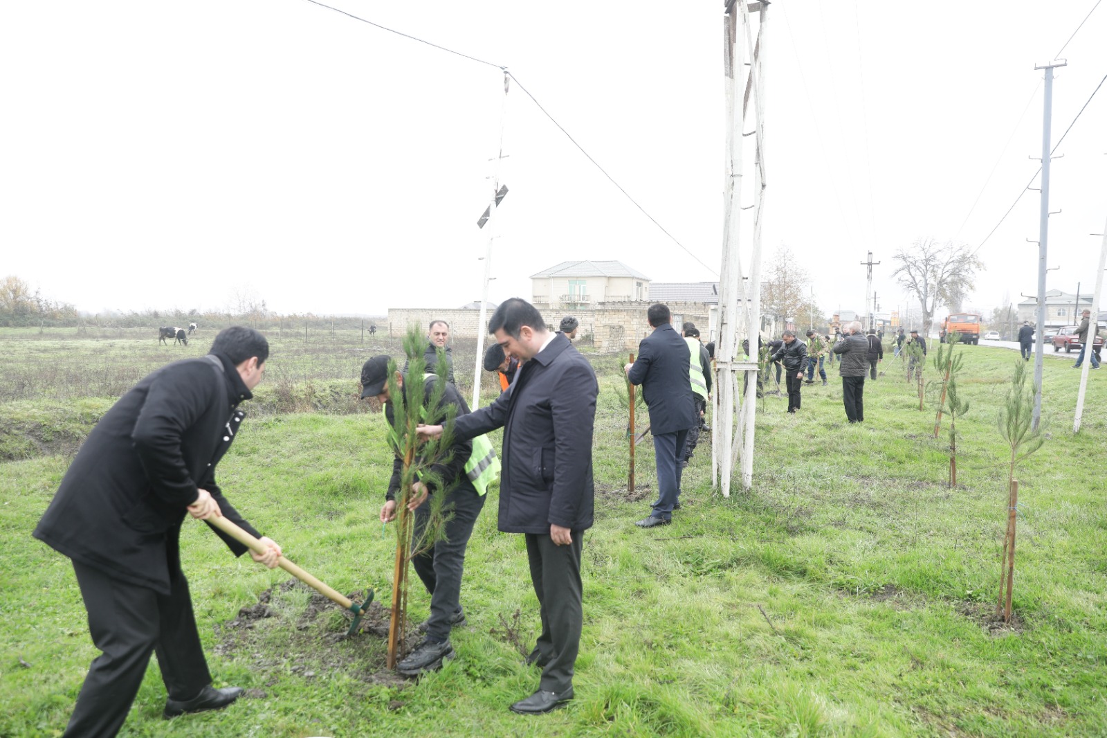 Xaçmaz rayonunda növbəti ağacəkmə aksiyası keçirilib (FOTO)